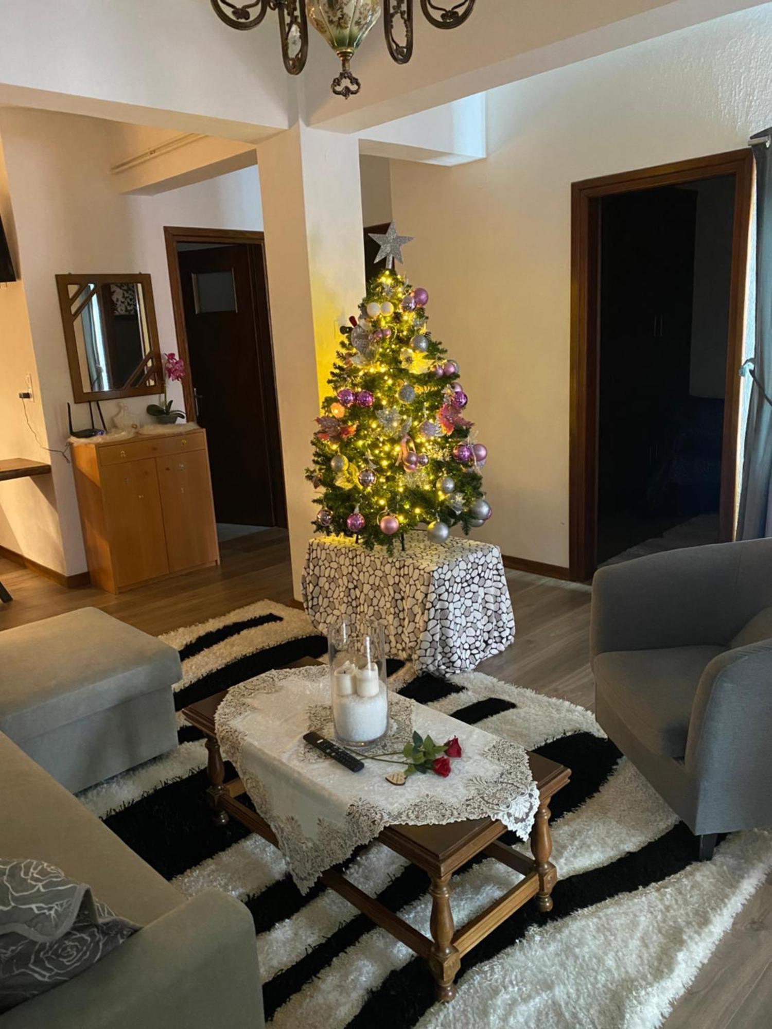 Agapi'S House Apartment Мецово Екстериор снимка