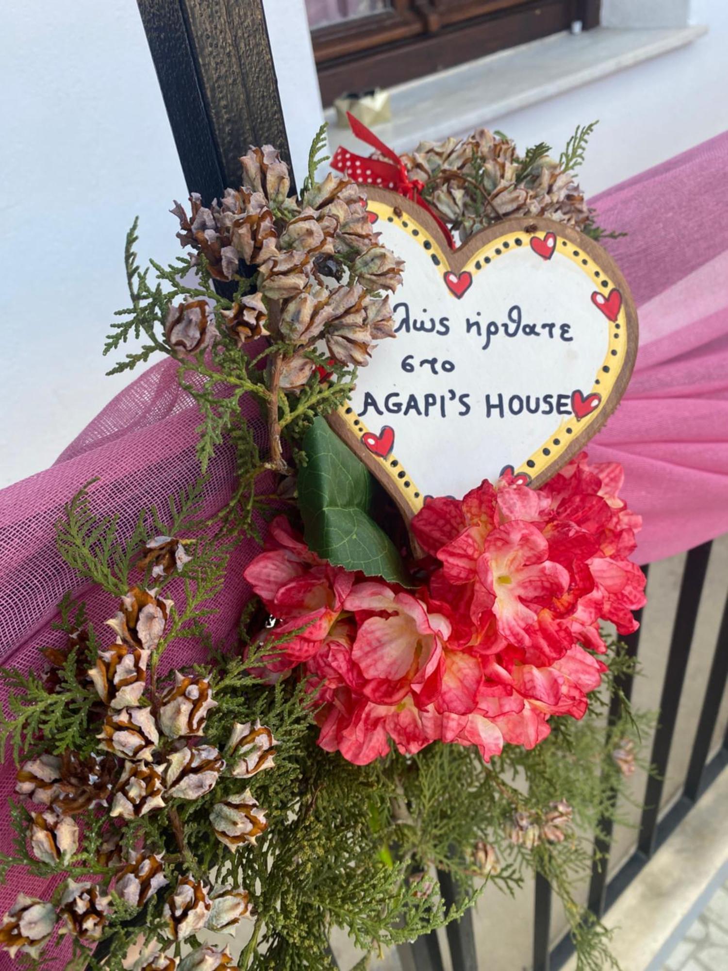 Agapi'S House Apartment Мецово Екстериор снимка